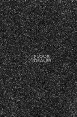 Ковролин AW Omnia 98 фото 1 | FLOORDEALER