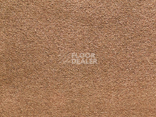 Ковролин Balta Wild Luxury Paddington Balta Wild Luxury Paddington 43 фото 1 | FLOORDEALER