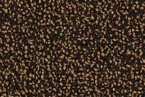 Ковролин Desso Cassini 2044 фото  | FLOORDEALER