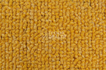 Balsan Season - Summer / Winter 310 фото 2 | FLOORDEALER