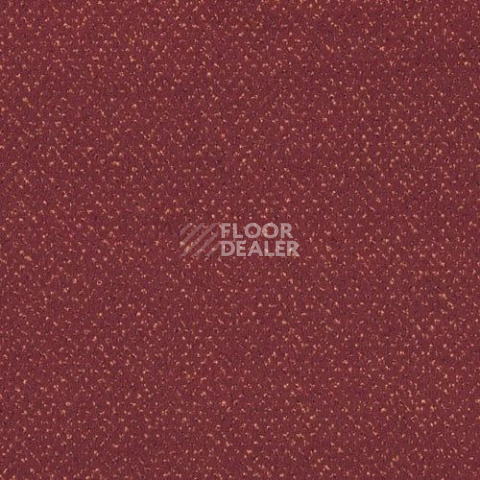 Ковролин Sintelon Orion 27839 фото 1 | FLOORDEALER