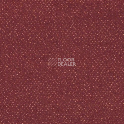 Ковролин Sintelon Orion 27839 фото 1 | FLOORDEALER