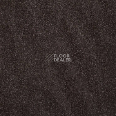 Ковролин Big Splendor 993 фото 1 | FLOORDEALER