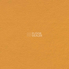 Ковролин Finett Feinwerk 503513 фото 1 | FLOORDEALER