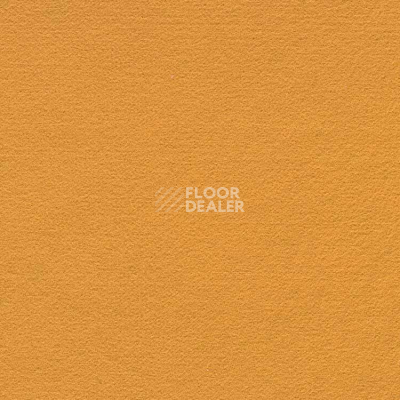 Ковролин Finett Feinwerk 503513 фото 1 | FLOORDEALER