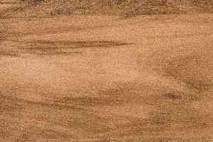 Линолеум Novoflor Extra Styl 4800-14 фото  | FLOORDEALER