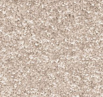 Ковролин AW Gala Equator 33 фото 1 | FLOORDEALER