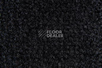 Balsan Les Best S 999 фото 2 | FLOORDEALER