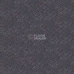 Ковролин Infloor Caprice 560 фото 1 | FLOORDEALER
