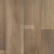Линолеум Tarkett Galaxy Dallas 4 фото 1 | FLOORDEALER