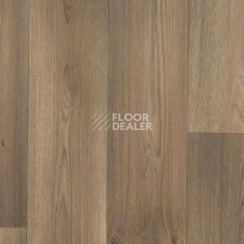 Линолеум Tarkett Galaxy Dallas 4 фото 1 | FLOORDEALER