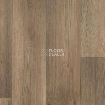 Линолеум Tarkett Galaxy Dallas 4 фото 1 | FLOORDEALER