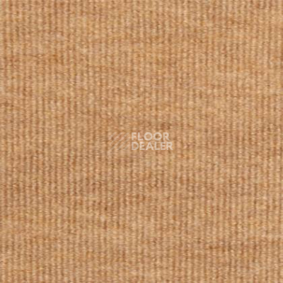 Ковролин Tapibel Ascot 3504 фото 1 | FLOORDEALER