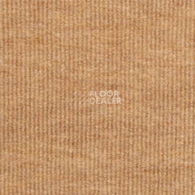Ковролин Tapibel Ascot 3504 фото 1 | FLOORDEALER