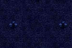 Ковролин Balta ITC Palace New 77 фото  | FLOORDEALER