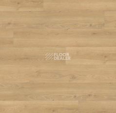 Ламинат Haro Tritty 200 Aqua Gran Via 4V Дуб Флавия Пуро 544799 фото 1 | FLOORDEALER