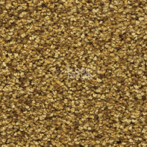 Ковролин Balsan Feelings 350 фото 1 | FLOORDEALER