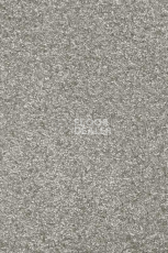 Ковролин AW Invictus Romelus 92 фото 1 | FLOORDEALER