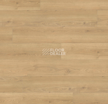 Ламинат Haro Tritty 200 Aqua Gran Via 4V Дуб Флавия Пуро 544799 фото 1 | FLOORDEALER