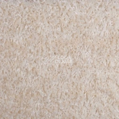 Ковролин Carnival Associated 03 фото 1 | FLOORDEALER