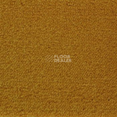 Ковролин Associated Weavers Continental 54 фото 1 | FLOORDEALER