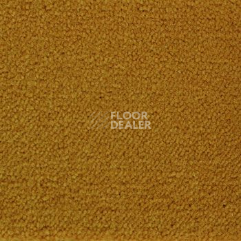 Ковролин Associated Weavers Continental 54 фото 1 | FLOORDEALER