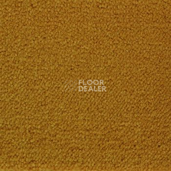 Ковролин Associated Weavers Continental 54 фото 1 | FLOORDEALER