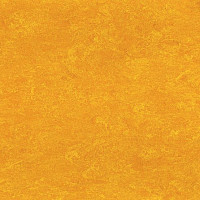 Линолеум Marmorette DLW 2.5mm 0172 Papaya Orange фото 1 | FLOORDEALER