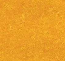 Линолеум Marmorette DLW 2.5mm 0172 Papaya Orange фото 1 | FLOORDEALER