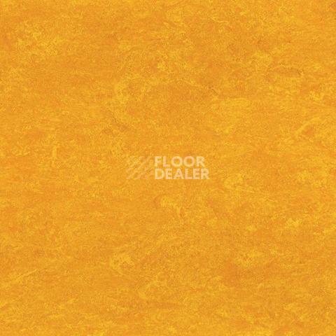 Линолеум Gerflor Marmorette DLW 2.5mm 0172 Papaya Orange фото 1 | FLOORDEALER
