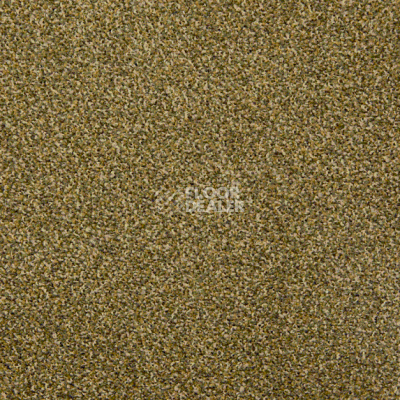 Ковровая плитка Modulyss Affinity 617 фото 1 | FLOORDEALER