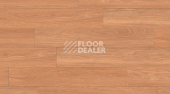 Кварцвиниловые полы Gerflor Creation 70 Looselay 1054_Onka_Honey фото 1 | FLOORDEALER