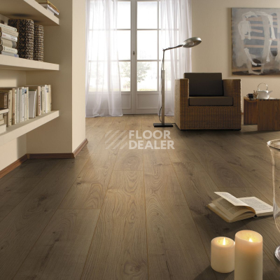 Ламинат Kronotex Mammut d4152 Дуб Эверест Натуральный фото 3 | FLOORDEALER