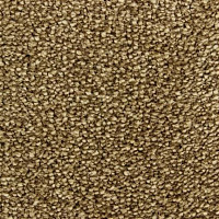 Ковролин Edel Affection 166 фото 1 | FLOORDEALER