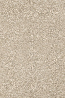 Ковролин AW Invictus Romelus 33 фото 1 | FLOORDEALER