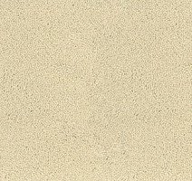 Ковролин Desso Asteranne 2918 фото 1 | FLOORDEALER