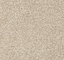 Ковролин AW Invictus Romelus 33 фото 1 | FLOORDEALER