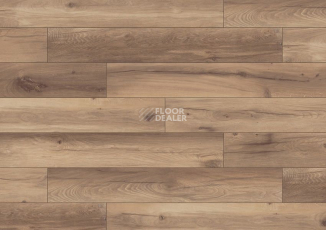 Terhurne Dureco Classic Line 2812 / a14 Дуб Римский - Коричневый фото 2 | FLOORDEALER