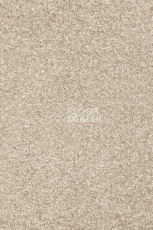 Ковролин AW Invictus Romelus 33 фото 1 | FLOORDEALER