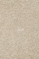 Ковролин AW Invictus Romelus 33 фото 1 | FLOORDEALER