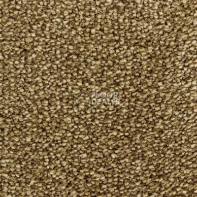 Ковролин Edel Affection 166 фото 1 | FLOORDEALER