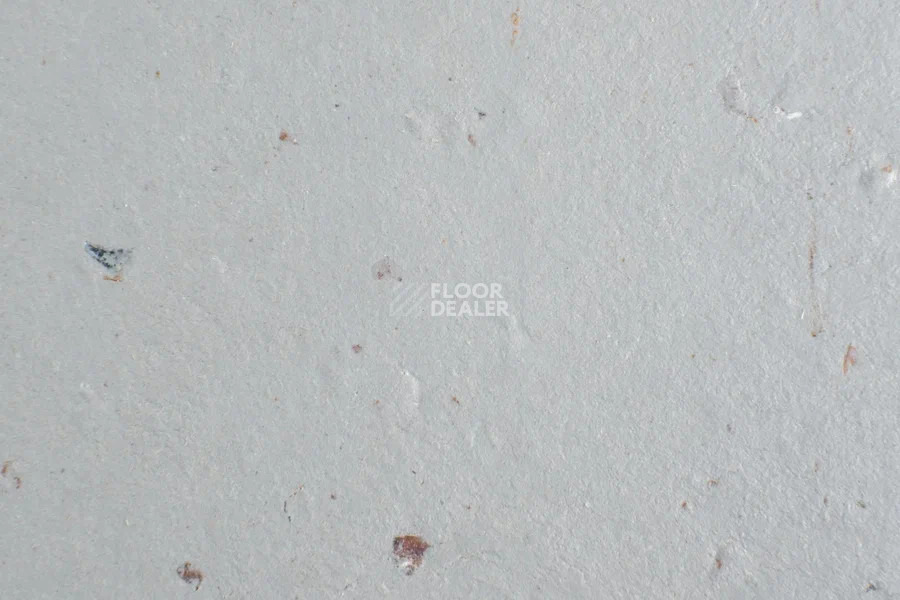 Forbo Marmoleum Solid Cocoa 3582-358235 earl grey chocolate фото 2 | FLOORDEALER