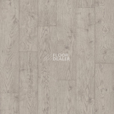 Линолеум Tarkett Stimul DANDY1 фото 1 | FLOORDEALER