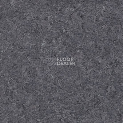 Линолеум Marmorette DLW  2mm 0059 Plumb Grey фото 1 | FLOORDEALER