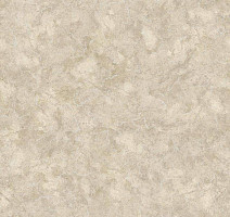 Линолеум Tarkett Praktika NUBIA_5 фото 1 | FLOORDEALER