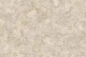 Линолеум Tarkett Praktika NUBIA_5 фото  | FLOORDEALER