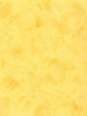 Линолеум Grabo Aura 4592-464-4 фото 1 | FLOORDEALER