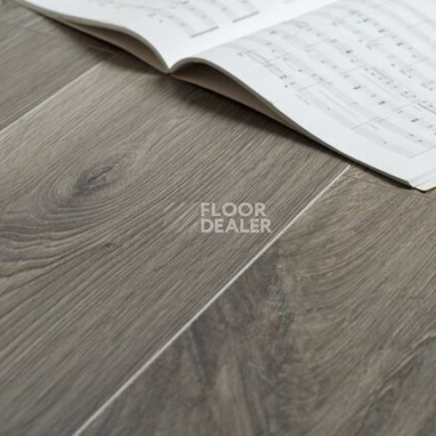 Kronopol Aurum Sound d3885 Дуб Фадо фото 4 | FLOORDEALER