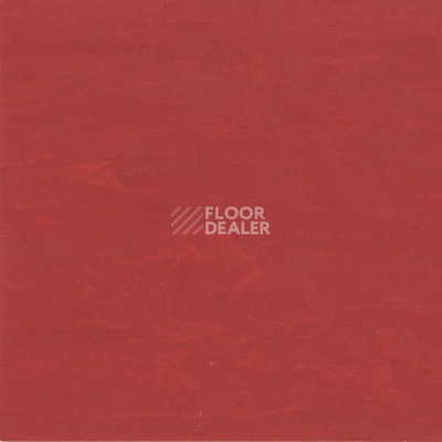 Линолеум Tarkett Horizon 001 фото 1 | FLOORDEALER