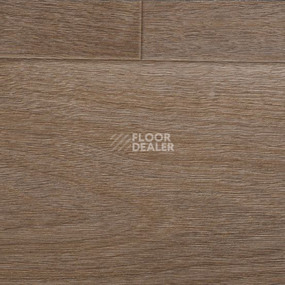 Линолеум Taralay Initial Compact (wood) 0959 Bostonian Brown фото 1 | FLOORDEALER